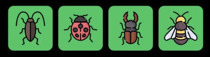 FLIES Daily Combo 26 June 2025